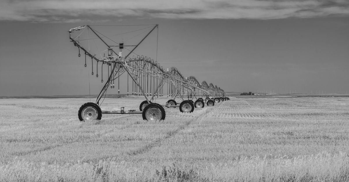 A vast agricultural field in Montana featuring a pivot irrigation system under a clear sky.